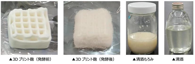 4枚の写真が横に並ぶ図。左から、白い網目状の層が積み重なった3Dプリント麹(発酵前)、白い綿毛のような麹菌に表面を覆われた四角い3Dプリント麹(発酵後)、白く濁った液が底にたまったガラス瓶の清酒もろみ、透明な液が入ったガラス瓶の清酒。それぞれの下に「3Dプリント麹(発酵前)」「3Dプリント麹(発酵後)」「清酒もろみ」「清酒」と説明がある