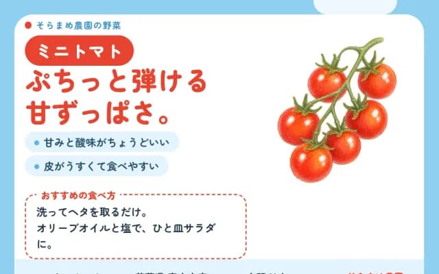 ミニトマトの POP。見出しと味の特徴、おすすめの食べ方が入っている