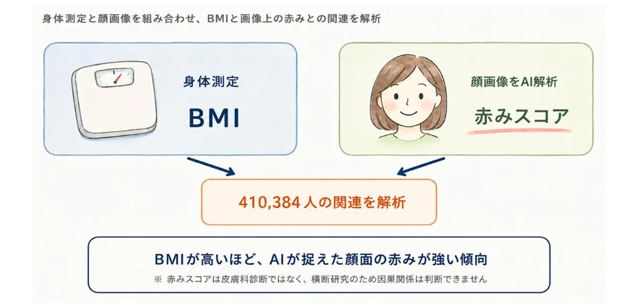 左に体重計のイラストと「身体測定 BMI」、右に女性の顔のイラストと「顔画像をAI解析 赤みスコア」。2つの矢印が「410,384人の関連を解析」に集まり、下に「BMIが高いほど、AIが捉えた顔面の赤みが強い傾向」と、赤みスコアは皮膚科診断ではなく因果関係は判断できないという注意書き